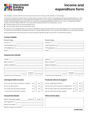 Income and Expenditure Form