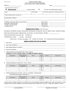 New York Pistol Revolver License Amendment Form