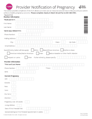 Provider Notification of Pregnancy Form