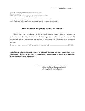 De Minimis Aid Declaration Form