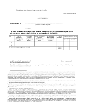 De Minimis Aid Declaration Form