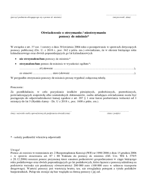 De Minimis Aid Declaration Form