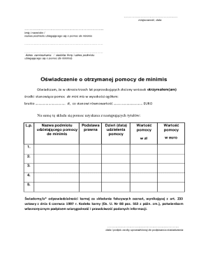 De Minimis Aid Declaration Form