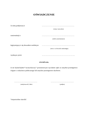 Criminal Record Declaration Form