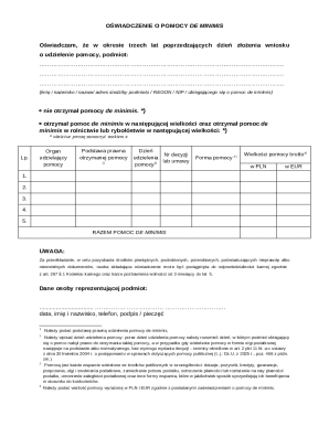 De Minimis Aid Declaration