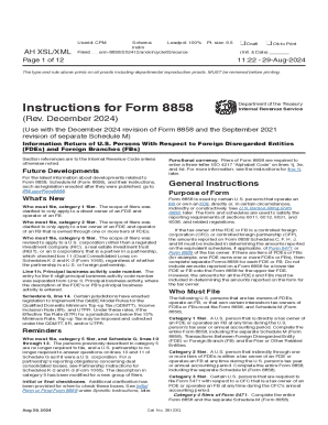 Form 8858 Information Return