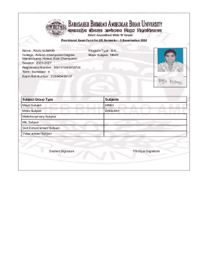 Provisional Exam Form for UG Semester II Examination 2024