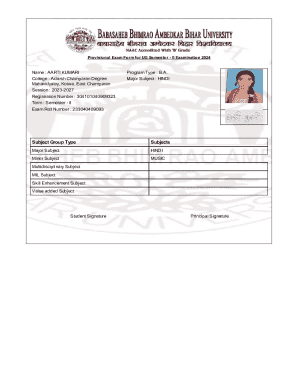 Provisional Exam Form for UG Semester II