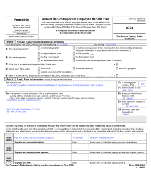 Form 5500 Annual Return Report