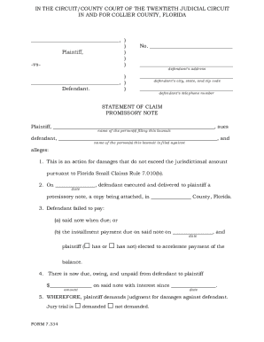 Florida Small Claims Promissory Note Petitioner Form