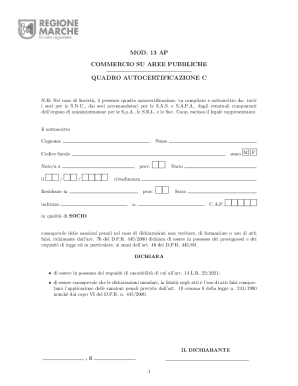 Commercial Activity Public Area Self-Certification Form