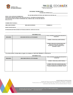 Informe Trimestral de Servicio Social
