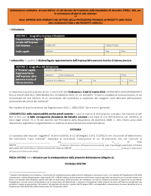 Italian De Minimis Aid Application Form