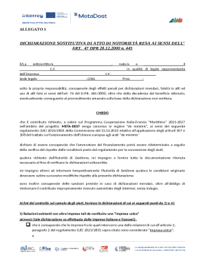 Italian De Minimis Aid Declaration Form
