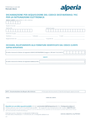 Fintel Gas e Luce Electronic Invoice Destination Code Declaration