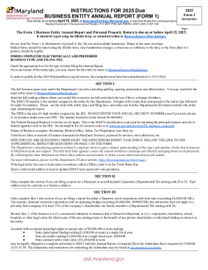 2025 BUSINESS ENTITY ANNUAL REPORT (FORM 1)