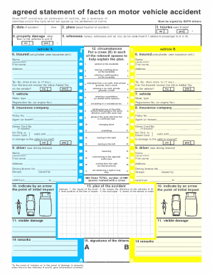 Motor Vehicle Accident Statement of Facts