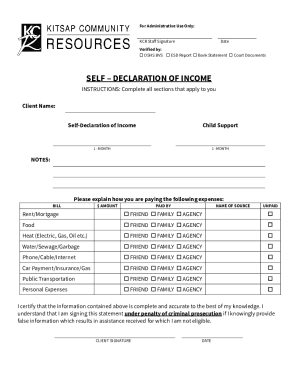 Self-Declaration of Income Child Support