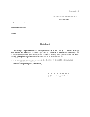 Criminal Liability Declaration Form