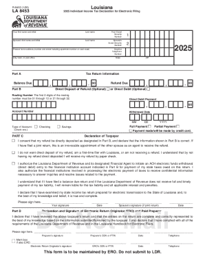 Individual Income Online Tax Filing