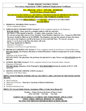 Nj working papers a300 form requirements