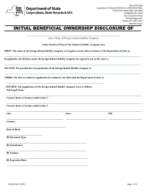 New York Initial Beneficial Ownership Disclosure Form
