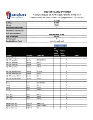 2 Percent Statistical Sample Reporting Form