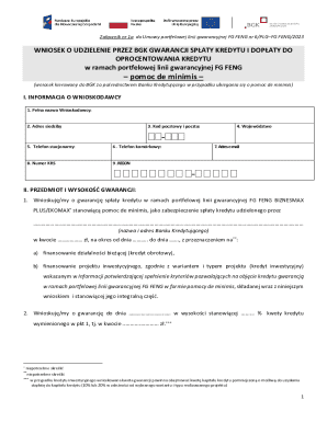 Loan Guarantee Application