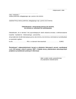 De Minimis Aid Declaration Form