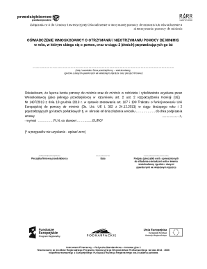 De Minimis Aid Declaration Form