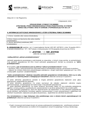 De Minimis Aid Declaration Form