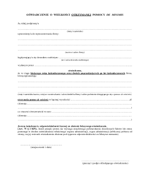 De Minimis Aid Declaration Form