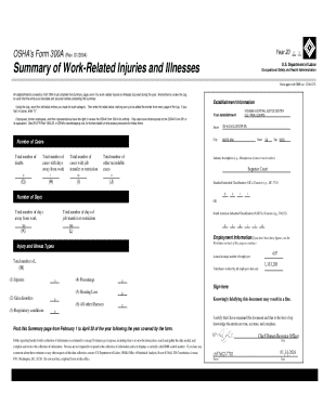 OSHA Form 300A Summary of Work-Related Injuries and Illnesses