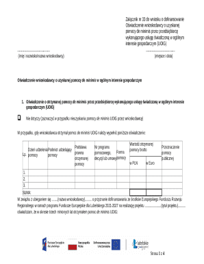 De Minimis Aid Declaration Form