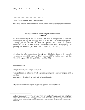 EU De Minimis Aid Declaration Form