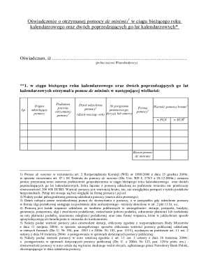 De Minimis Aid Declaration Form
