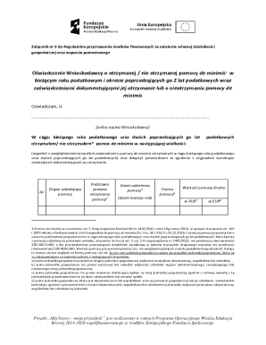 De Minimis Aid Declaration Form