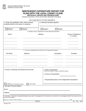 Michigan Independent Expenditure Report
