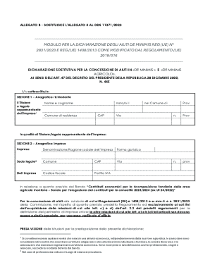 EU De Minimis Aid Declaration Form