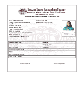 Provisional Exam Form for UG Semester II Examination 2025