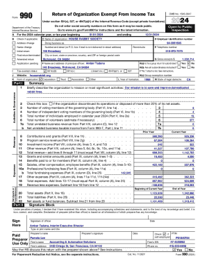 IRS Form 990 2024