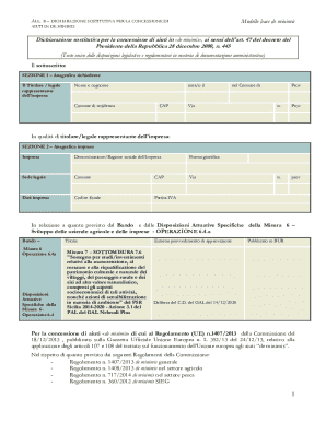 De Minimis Aid Declaration Form