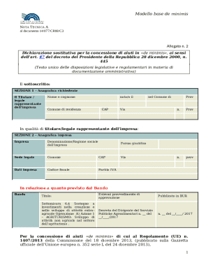 De Minimis Aid Declaration Form