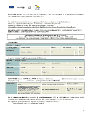 De Minimis Aid Declaration Form