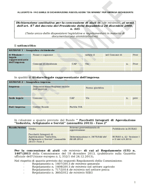 De Minimis Aid Declaration Form