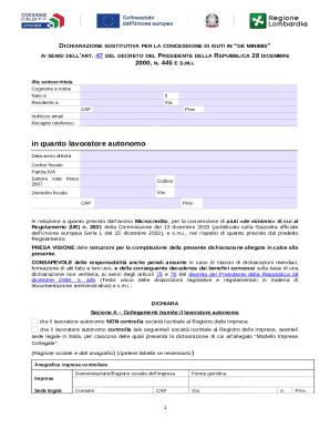Italian De Minimis Aid Declaration Form