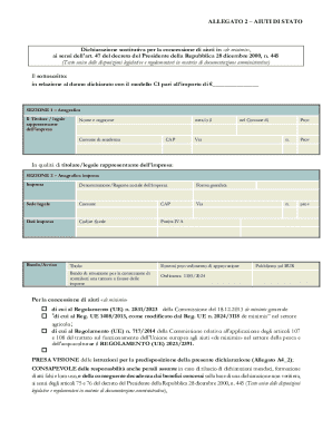 Italian De Minimis State Aid Declaration Form