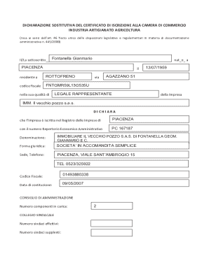 Italian Business Registration Declaration