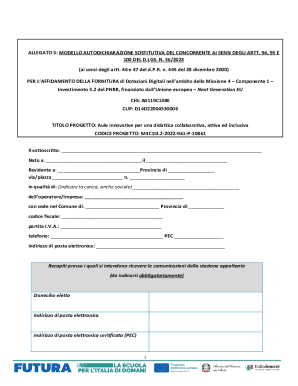 Italian Self-Declaration Form for Digital Supplies