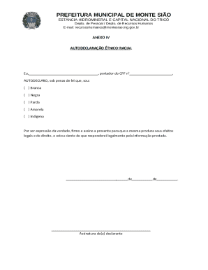 Ethnic-Racial Self-Declaration Form